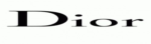 sunglasses-christian-dior-logo